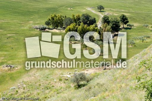 Sizilien (265 von 565).jpg